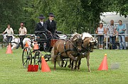 11_IMG_0004