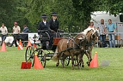 11_IMG_0005
