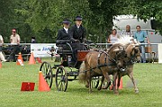 11_IMG_0006