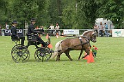 11_IMG_0007