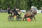 11_IMG_0008