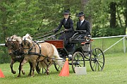 11_IMG_0010