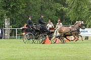 11_IMG_0011