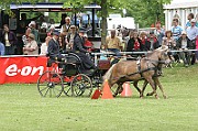 11_IMG_0012
