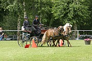11_IMG_0013