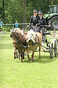 11_IMG_0014