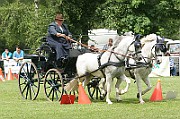 11_IMG_0016