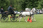11_IMG_0017