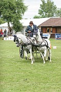 11_IMG_0018