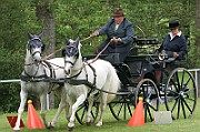 11_IMG_0019