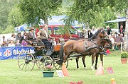 11_IMG_0024