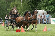 11_IMG_0026