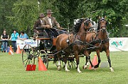 11_IMG_0029