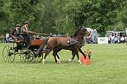 11_IMG_0030