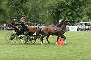 11_IMG_0031