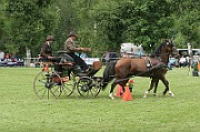 11_IMG_0033