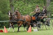 11_IMG_0036