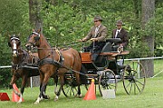 11_IMG_0037