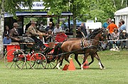 11_IMG_0038