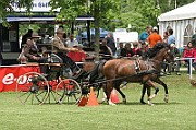 11_IMG_0039