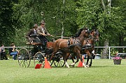 11_IMG_0040