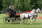 11_IMG_0043