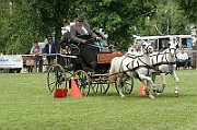 11_IMG_0045