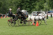 11_IMG_0046