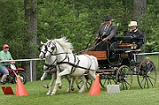 11_IMG_0047