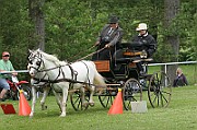 11_IMG_0048