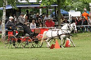11_IMG_0049