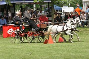 11_IMG_0050