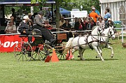 11_IMG_0051