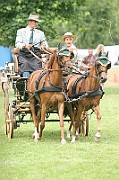 11_IMG_0055