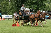 11_IMG_0058