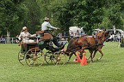 11_IMG_0059