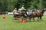 11_IMG_0061