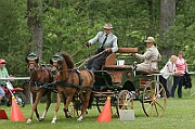 11_IMG_0062