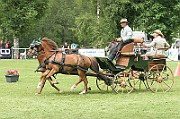 11_IMG_0065