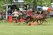 11_IMG_0066