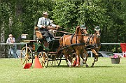 11_IMG_0069