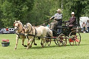 11_IMG_0071