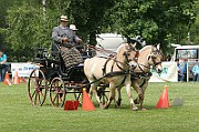11_IMG_0073