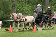 11_IMG_0077