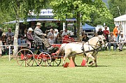 11_IMG_0080