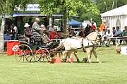 11_IMG_0081
