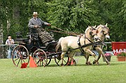11_IMG_0082