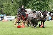 11_IMG_0088