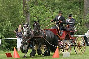 11_IMG_0091