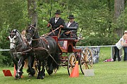 11_IMG_0093